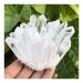 1pc Natural Crystals Clear Quartz Cluster Freeform Reiki Stones Room Home Office Aquarium Decoration Accessories Gemstone Home Decoration (Size : 600-650g)