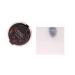 Estee Lauder Bronze Goddess Powder Bronzer 02-Medium 21g - Get a Sun-Kissed Glow - Buy Online on GoSupps.com