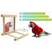 NINGVIHE Bird Mirror Bird Swing Parrot Cage Toys Bird Toy for Parrot Parakeets Conures Cockatiels Cage Swing Wooden Fun Play Toy for Birds (2 PACK) - Buy Online on GoSupps.com
