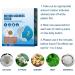 Funchic Motion Sickness Patches - Anti-Nausea Relief for Carsick - Non-Drowsy - 30 PCS - Buy Online on GoSupps.com