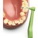 TePe Angle Green 0.8mm Interdental Brushes - Pack of 6 - Buy Online on GoSupps.com