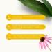 Lemuria Echinacea 100ml - Boost Natural Defenses & Support Airways - Made in Italy - Buy Online on GoSupps.com