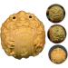 Shop Sewoart Wooden Hand Massage Balls - Hand Exercise & Fitness Tools for Stress Relief - Buy Online on GoSupps.com