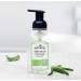 J.R. Watkins Foaming Hand Soap Pump 6 Pack - All Natural, Moisturizing Aloe & Green Tea Hand Soap Foam - Alcohol-Free, Cruelty-Free, USA Made - Ideal for Kitchen or Bathroom - 9 fl oz - Buy Online on GoSupps.com