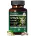 HyberVive Luteolin Supplement 98% Ultra-Purity Luteolin Extract Plant-Based Flavonoid Supplement for Brain Health Immune Support & Inflammatory Balance Made in USA 90 Vegan Capsules