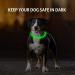 NOVKIN 2-Pack LED Dog Collar Set - Rechargeable Light Up Safety Necklace for Small, Medium, Large Dogs - Blue&Green - Buy Online on GoSupps.com