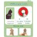 Supet Rewrise Cat Adjustable Recovery Collar - Watermelon Size S (14-23cm) - Post-Surgery & Injury Protection for Cats - Buy Online on GoSupps.com