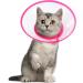 Adjustable Lightweight Pet Cone 5.7-8 Inches - Vivifying Elizabethan Collar for Small Dogs, Cats (Pink) - Size M - Buy Online on GoSupps.com