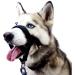 Morlevivi Dog Head Collar The Gentle Leader of Large Dogs.A Tension-Free Training Tool for Walking Dogs.Adjustable Dog Collar - Buy Online on GoSupps.com