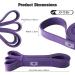 KK Resistance Bands for Men and Women - Pull Up and Stretch Workout Bands - Buy Online on GoSupps.com