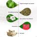 Petnice 3 Pack Cat Catnip Toys Pet Catnip Teeth Cleaning Toys Cat Interactive Toys - Buy Online on GoSupps.com
