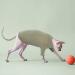 Shop Pumyporeity Cat Cotton Sweater - Warm Green Vest for Sphynx & Hairless Cats | Soft Jumper & Costume XS - Buy Online on GoSupps.com