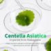 CRAZYSKIN Centella Tica Ampoule 1.7 fl. oz. - Redness Relief for Troubled Skin | Korean-Made Facial Serum - Buy Online on GoSupps.com