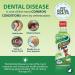 DENTAL FRESH Water Additive for Cats Original Formula 8 oz Bad Breath Treatment for Cats Add to Water Bowl to Whiten Teeth and Eliminate Bad Breath Cat Teeth Cleaning to Improve Oral Health 236.59 ml (Pack of 1) Original - Buy Online on GoSupps.com