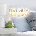 SAGE + Palo Santo Aromatherapy Candle - House Energy Cleansing & Positivity Vibes - Buy Online on GoSupps.com