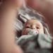 Buy PASUIDU Tommee Tippee Anytime Pacifier for 6-18 Months | Fast International Shipping - Buy Online on GoSupps.com