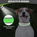 Joytale Softly Padded Neoprene Dog Collar for Small Dogs - Reflective Nylon Wide Collar in Green - 1 Pack - Buy Online on GoSupps.com