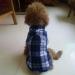 Yowablo Plaid Pet Shirt - Stylish Blue Shirt for Small Dogs - International Shipping Available - Buy Online on GoSupps.com