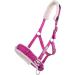 NetProShop Cavesson Lunging Aid for Groundwork - Shetty Pony Cob & Full Sizes - Pink Color - Perfect for Equine Training - Buy Online on GoSupps.com