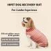 Buy Hipet Recovery Suit for Dogs & Cats - Post-Op Wear Prevents Licking Abdominal Wounds E-Collar Alternative (XXXL Pink Striped) - Buy Online on GoSupps.com