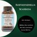 Barlowe's Herbal Elixirs Xanthoparmelia Scabrosa | 12:1 Extract | 650mg Per Capsule | Exercise & Wellness Support | 60 Veggie Capsules | Stearate-Free, Additive-Free, Glass Bottled - Buy Online on GoSupps.com