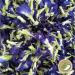 Dried Butterfly Pea Flowers by SellAllDay (50 g) - Buy Online on GoSupps.com