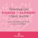 Fever-Tree Light Refreshing Rhubarb & Raspberry Tonic Water 8 x 150ml (Pack of 3 Total 24 Cans) - Buy Online on GoSupps.com