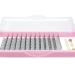 Shop 3D-C-0.10-10mm C Curl Finished Eyelash Extensions - 12 Pack Volume Eyelashes for Stunning Looks - Buy Online on GoSupps.com