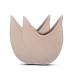Toe Pouches Pads  1 Pair Soft Anti-Slip Ballet Dance Pointe Shoes Toe Pads Feet Protector Caps  Forefoot Toe Covers Cushion  Ballet Half Socks Sleeves  Relief Pain for Women Girl Kids Dancer (B)