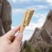 Premium Rock Climbing & Bouldering Brush with Durable Boar's Hair Bristles | Ergonomic Handle for All Holds & Chalk Types - Indoor/Outdoor Use - Buy Online on GoSupps.com