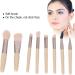 Eyeshadow Brush Makeup Brushes Set Professional Fluffy Grip Powder 8 Pieces for Women for Daily Makeup Ivory - Buy Online on GoSupps.com