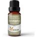 100% Pure Aromatherapy Essential Oils Diffuser Gift Set - Lavender Eucalyptus Tea Tree Rosemary Lemongrass & Peppermint - 6 x 10 mL - Buy Online on GoSupps.com