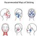 Face Lift Tape Anti Wrinkles Patches V Line Lifting Chin Strap High Elasticity Firming Tightening Skin 2.5cm*5m (Beige 2 Roll) Sit Tight Facial Lifting Wrinkle Removal (Light Auslawnyox8vfgr-11 - Buy Online on GoSupps.com