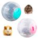 VTurboWay 2 Pcs Hamster Running Ball Plastic Exercise Ball Hamster Useful Transparent Mini Training Ball (Dia: 4.7 inch)