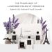 Buy Majestic French Lavender Gift Set | 5 Piece Vegan Fragrance for Men & Women | International Shipping - Buy Online on GoSupps.com