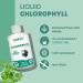 Liquid Chlorophyll Unflavoured 5X Concentrated 500ml Cold Extracted from Non-GMO Alfalfa - Detox - Alkaline - Natural Body Deodorant Antioxidant - Made in Canada - Buy Online on GoSupps.com