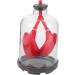 Lung Breathing Model Educational Science Toys Preschool Teaching aid Human Lung Assemble Model Human Body Anatomy Model Teaching Model aid Plastic Rubber Teaching Work Sports