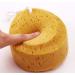 Bath Sponge Set - 4 Exfoliating Shower Sponges with 2 Adhesive Hooks for Adults and Kids - Buy Online on GoSupps.com