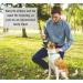 100g Camel Skin Natural Dog Treats Chews - Hypoallergenic & Sourced from Sustainable Livestock - SLCP - Buy Online on GoSupps.com