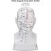 Acupuncture Point Head Model - 11.8 Inch PVC Facial Massage Meridians for Teaching & Learning - International Shipping Available - Buy Online on GoSupps.com