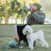 Asobu Pet Dog Bowl & Insulated Stainless Steel Water Bottle for Travel - 1L Blue | Perfect Pet Travel Gear - Buy Online on GoSupps.com