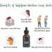 SafeFine Mullein Leaf Extract Drops - 60ml Alcohol-Free Vegan Formula for Respiratory & Immune Support, Natural Sleep Aid - Buy Online on GoSupps.com