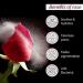 PYO URA 100% Organic Rose Water Face Mist 100ml - Natural Hydrating Toner for Glowing Skin & Pore Tightening - Unisex Facial Spray for Men & Women - Buy Online on GoSupps.com