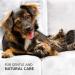 AniForte Ear Mite Drops 20ml: Effective Treatment for Dogs, Cats, Rodents & Pets - Kills & Removes Ear Mites - Buy Online on GoSupps.com