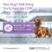 Wellness CORE Reward+ Treats Duck Supports in Calming Your Dog Soft Grain Free Dog Treats 170g 170 g (Pack of 1) Duck & Camomille - Calming - Buy Online on GoSupps.com