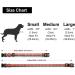 Suredoo Adjustable Dog Collar - Soft & Comfortable Nylon for Small & Medium Dogs - Forest M (33-55 cm Neck) - Buy Online on GoSupps.com