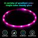 Auauy LED Light Neck Band for Dogs & Cats - Adjustable USB Rechargeable Waterproof Silicone Collar with 4 Modes (Pink) | Pet Safety Gear - Buy Online on GoSupps.com