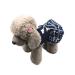 Barrageon dogs Kneid Sweet Princess Rock Clothing Puppy Cat for Small Pets Medium-sized dog cat Bowknot Summer clothing (dark blue-XL) Back length: 40 cm dark blue