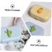 Buy Gatuida 32 Pc Colored Contact Lenses Case & Mirror Ideal Eye Care Holder for Fresh Lentils & Glasses International Shipping Available - Buy Online on GoSupps.com