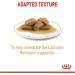 Royal Canin Labrador Retriever Adult in Gravy Wet Dog Food 140g (Pack of 10) - Buy Online on GoSupps.com
